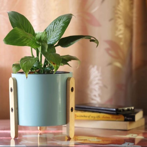 Shreehome Decorative Planter - Image 4