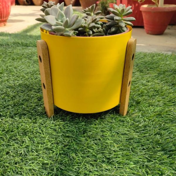 Shreehome Decorative Planter - Image 5