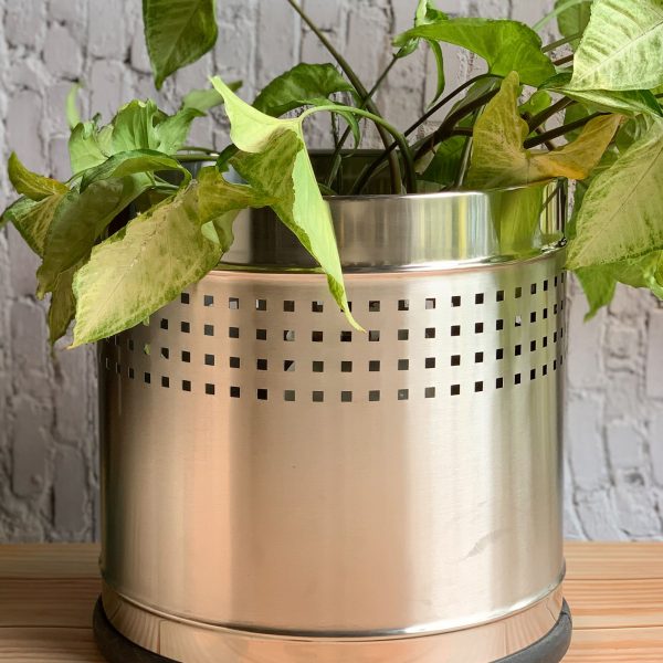 SHREEHOME STAINLESS STEEL PLANTER PERFORATED 8" X 8" - Image 2